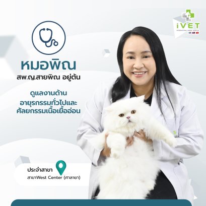 สพ.ญ. สายพิณ อยู่ต้น ( หมอพิณ )